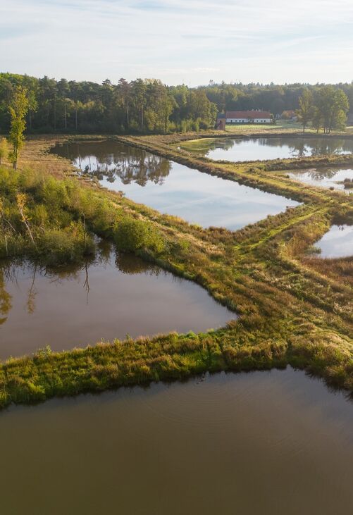 Wandelen in Bokrijk-Kiewit