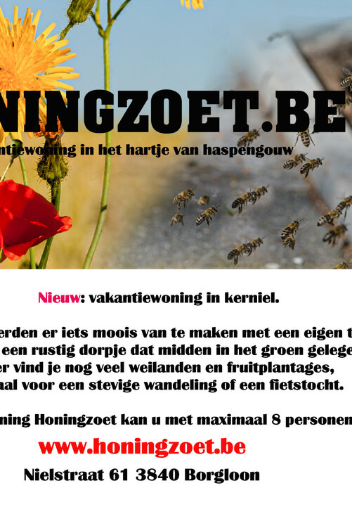 Honingzoet - Flyer