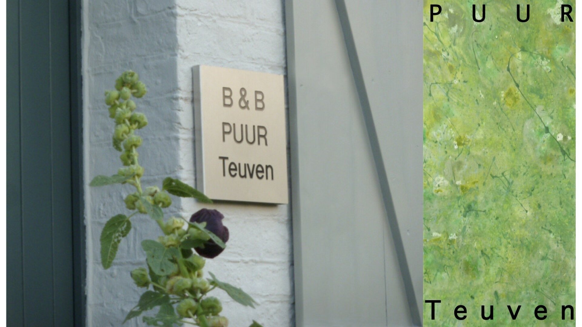 B&B Puur Teuven - Gevel