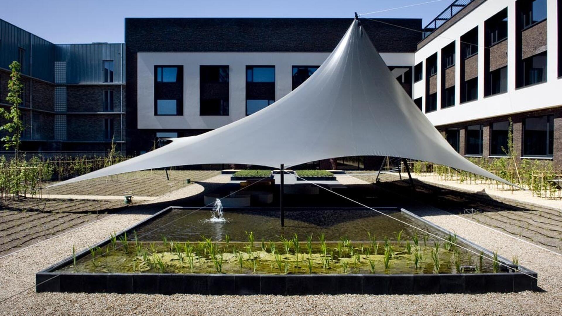 Carbon Hotel - Daktuin