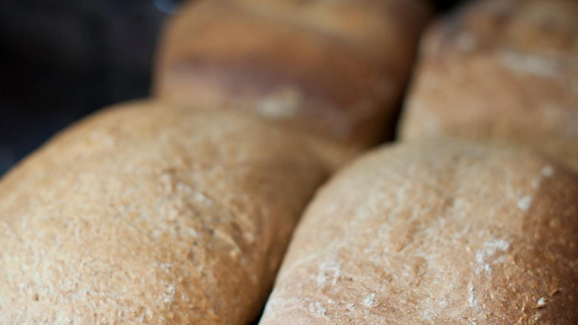 Jo - Li - versgebakken brood