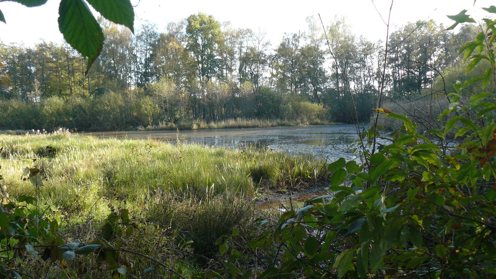 Jo - Li - In de omgeving.