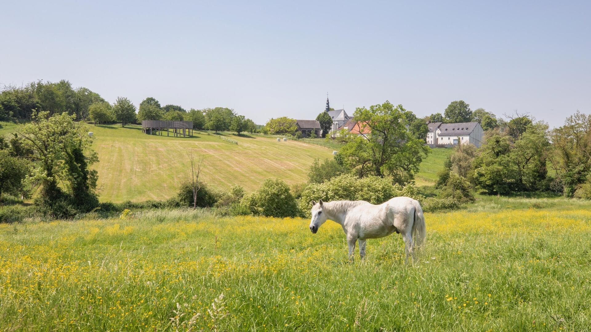 Niel 71 Suite - NIEL 71 Suite - De Pmgeving