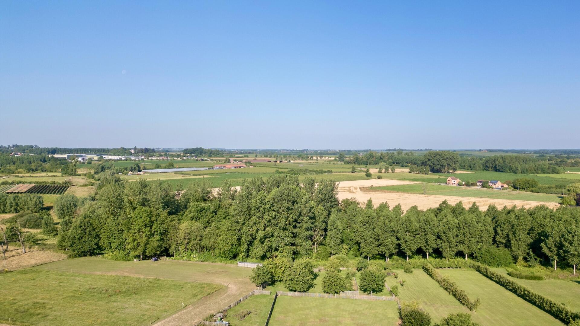Niel 71 Suite - NIEL 71 Suite - De Pmgeving