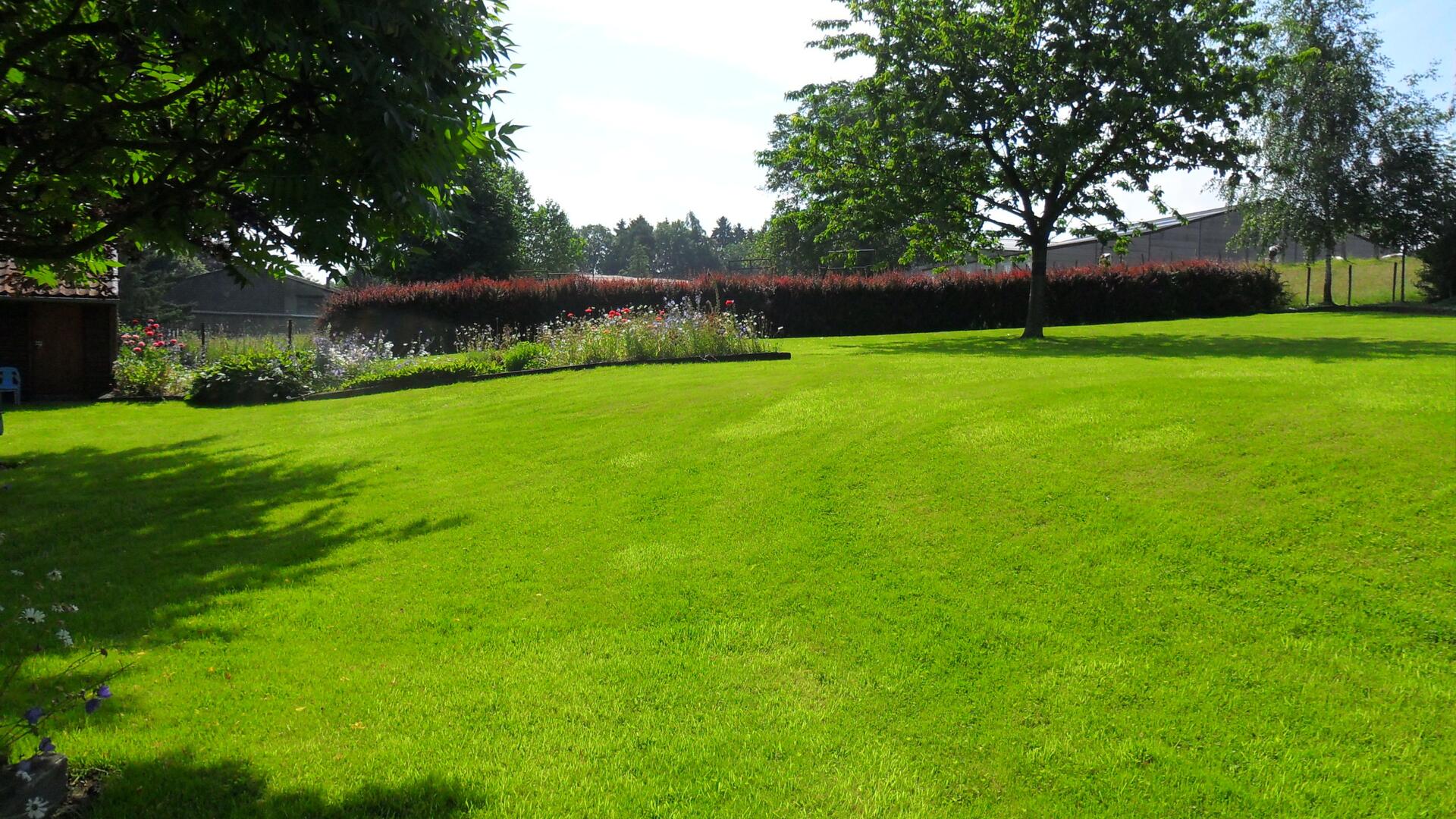 Schophemmerhoeve 5 - afgesloten tuin