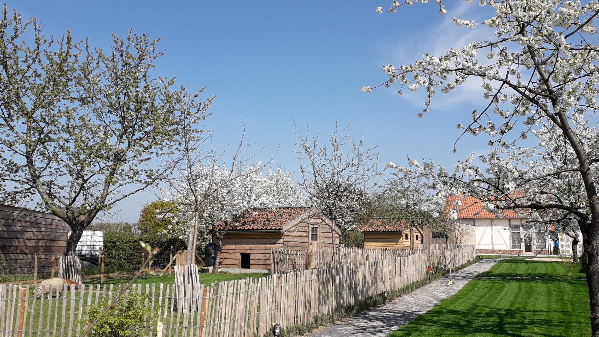 Vakantiewoning De Bonderbei - De tuin