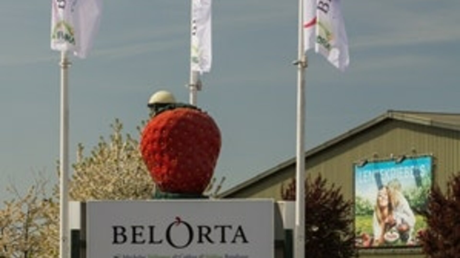 Gratis rondleiding veiling BelOrta site Borgloon