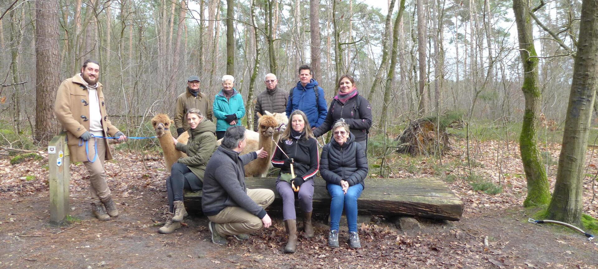 Alpaca Reckheim: wandelingen, teambuildings, ontbijt/lunch, boerengolf en therapiesessies. - Alpacawandeling