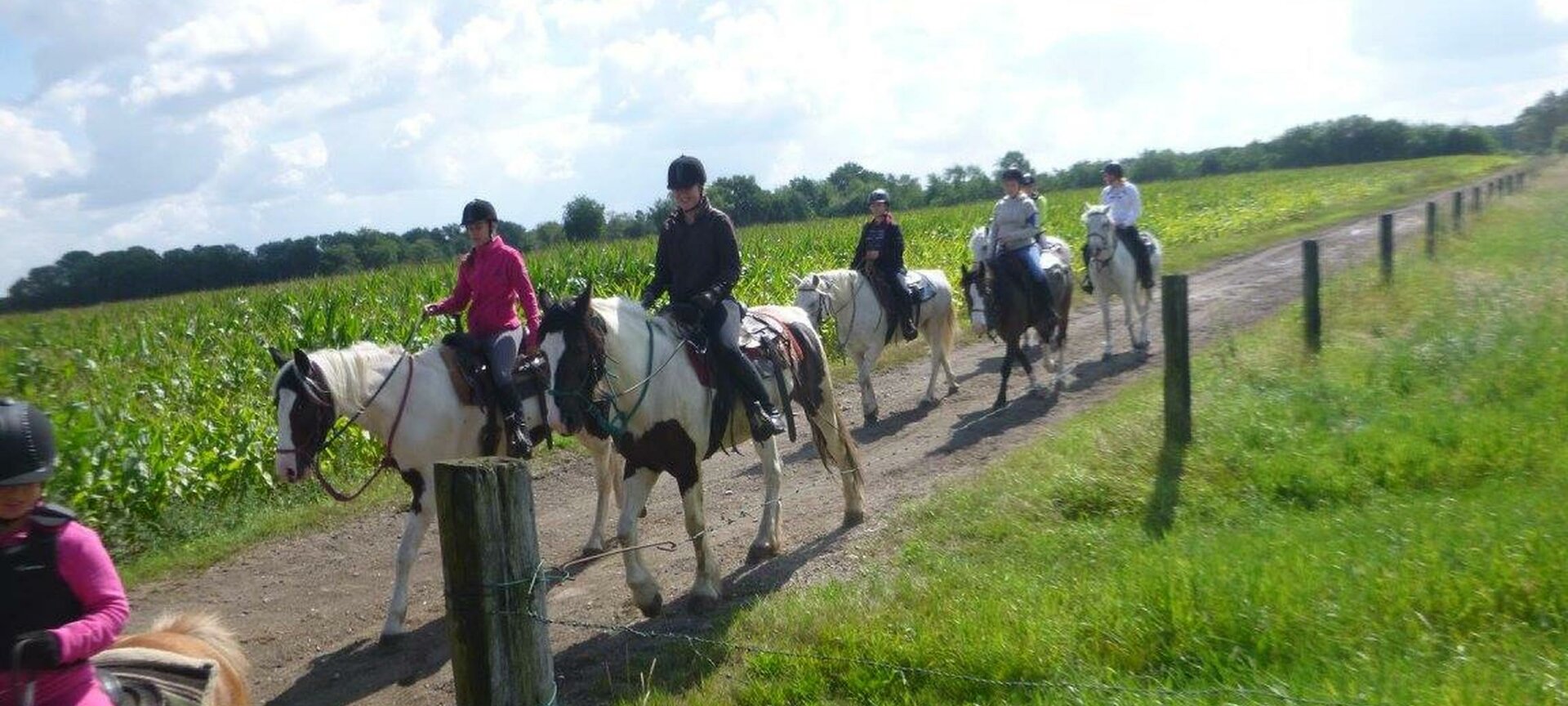 Begeleide tochten te paard - Flaming Star Ranch - d