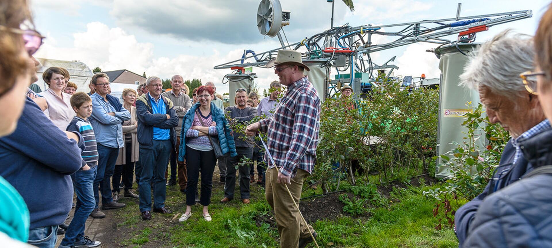 Blauwe Bessen Schrijnwerkers - rondleiding plantage