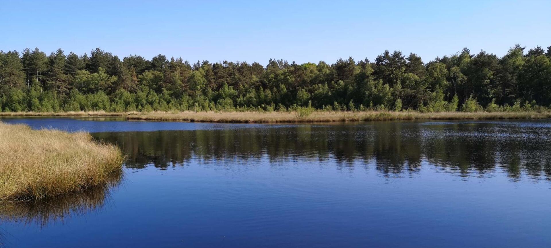 Blauwe Bessen Schrijnwerkers - Oudsberg