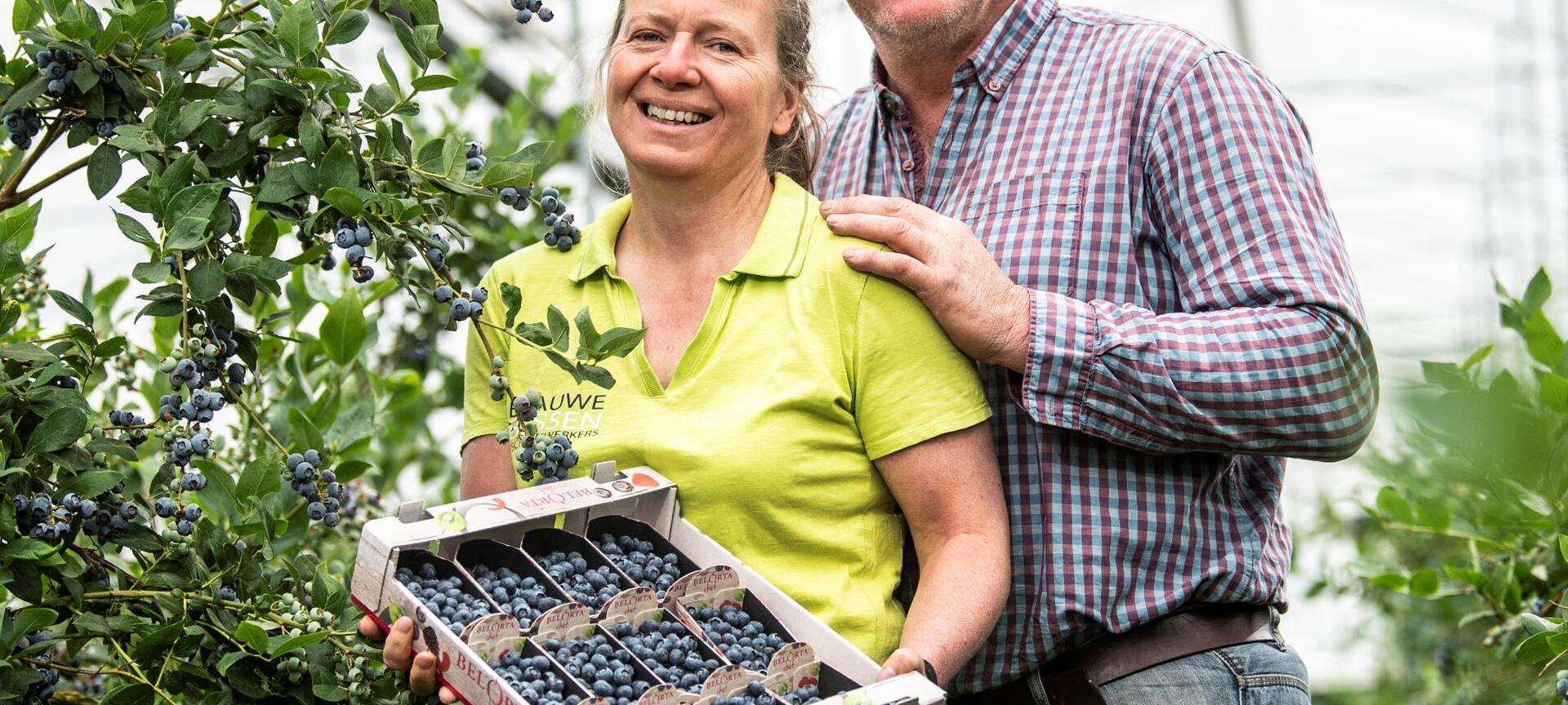 Blauwe Bessen Schrijnwerkers - Fam. Schrijnwerkers