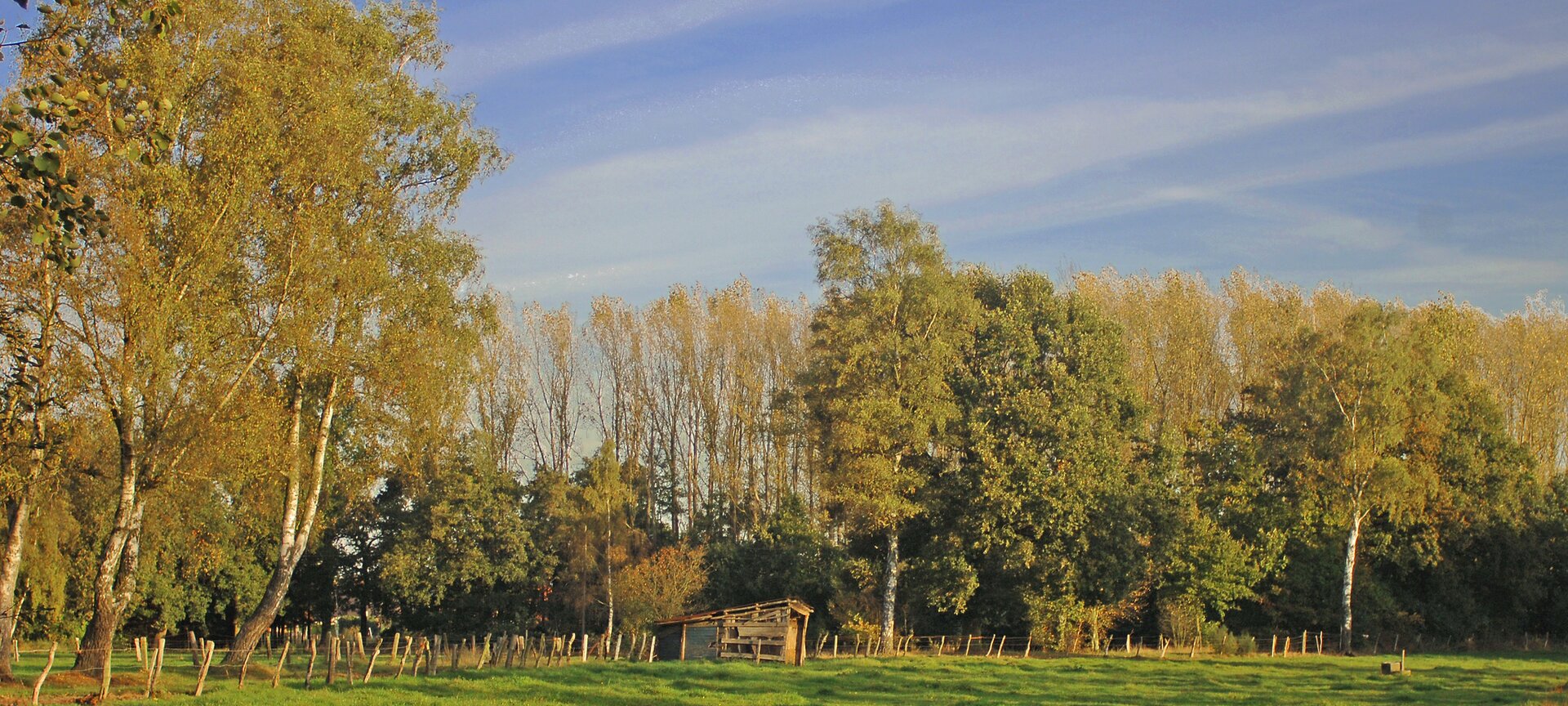 De Groote Heide: Wandelgebied Kolis - Kolis