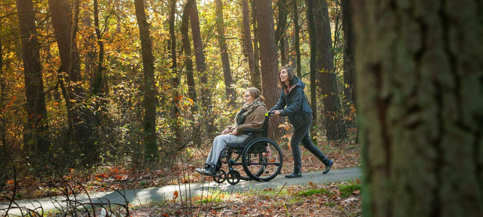 De Groote Heide: Wandelgebied Kolis - Wielenweg Kolis