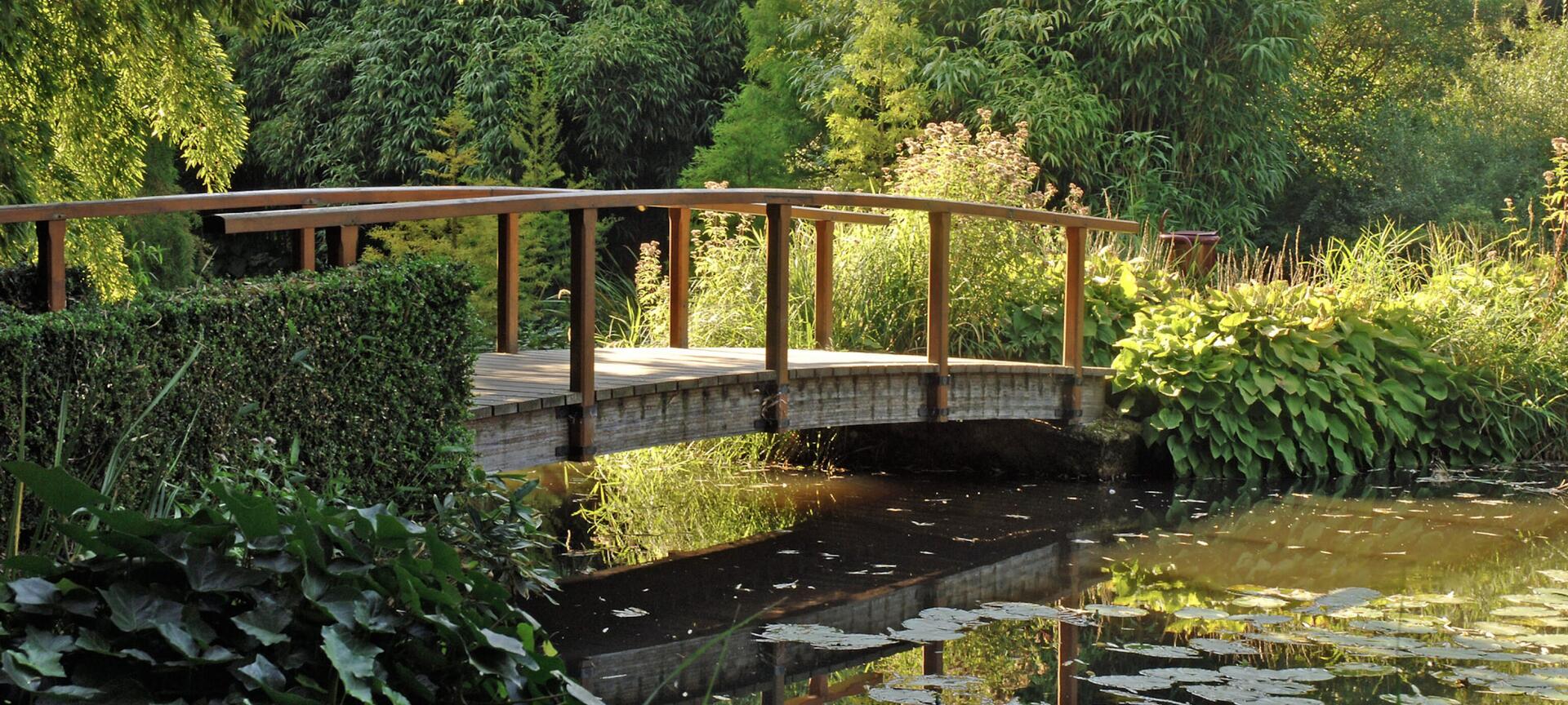 De Wijers: Wandelgebied Bokrijk-Kiewit - Arboretum Bokrijk
