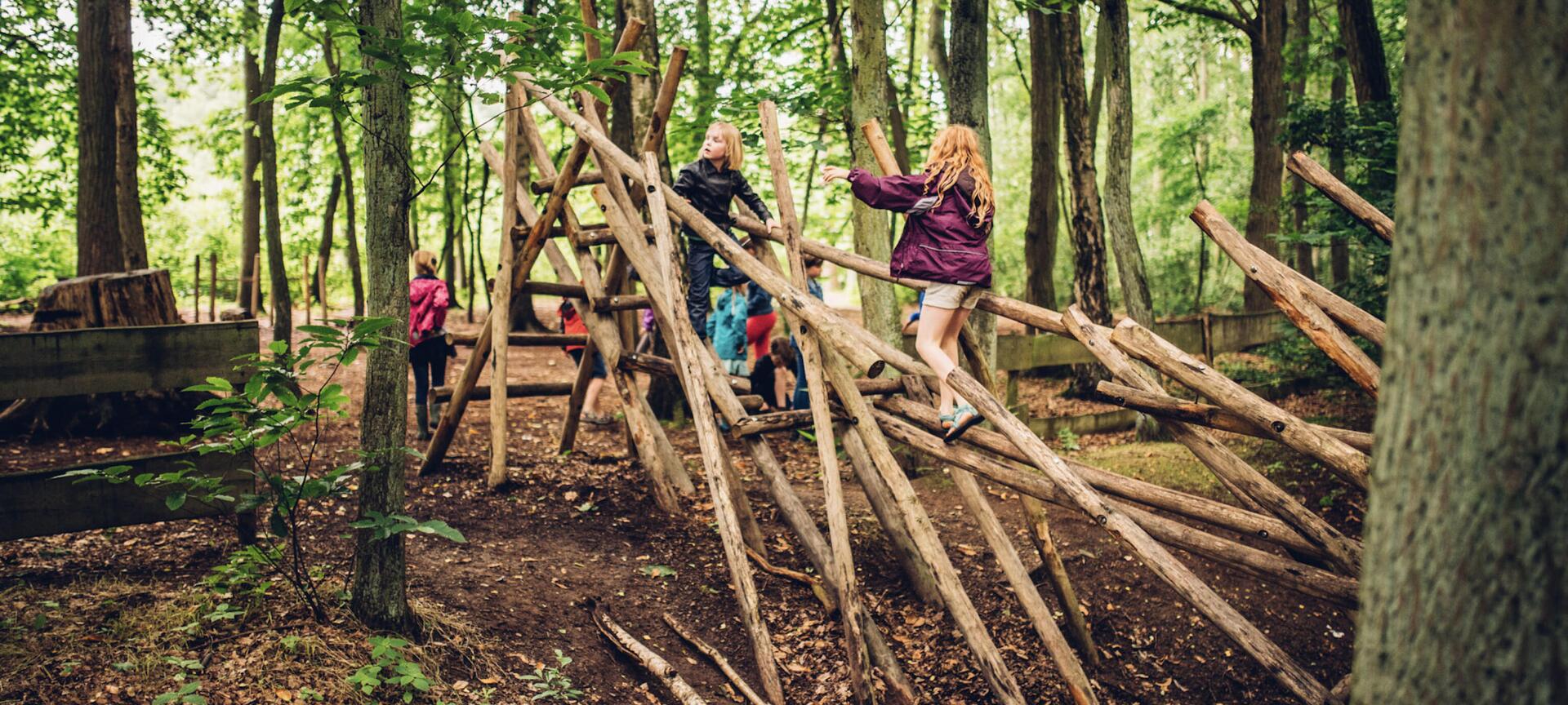 De Wijers: Wandelgebied Bokrijk-Kiewit - Speelbos Domein Kiewit