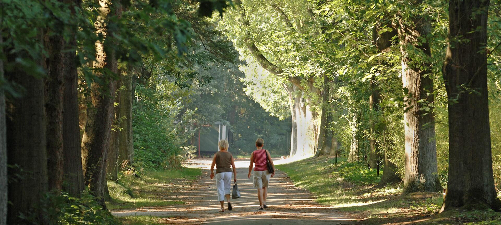 De Wijers: Wandelgebied Bokrijk-Kiewit - Dreven in Bokrijk en Kiewit