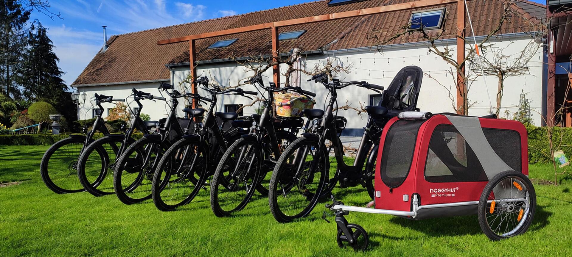 Fietsen met je hond in Haspengouw | E-bike verhuur Haspengouw bij Fietsen door Limburg - E-bikes en Doggyhut hondenfietskar