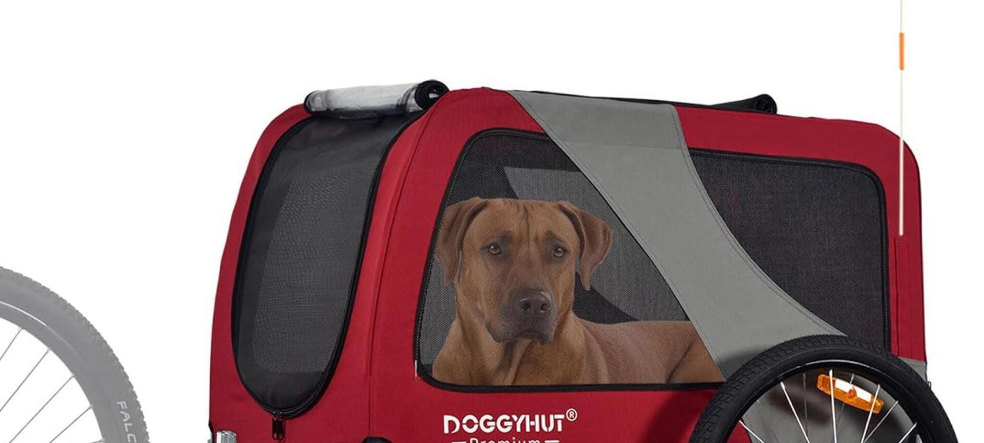 Fietsen met je hond in Haspengouw | E-bike verhuur Haspengouw bij Fietsen door Limburg - Doggyhut hondenfietskar