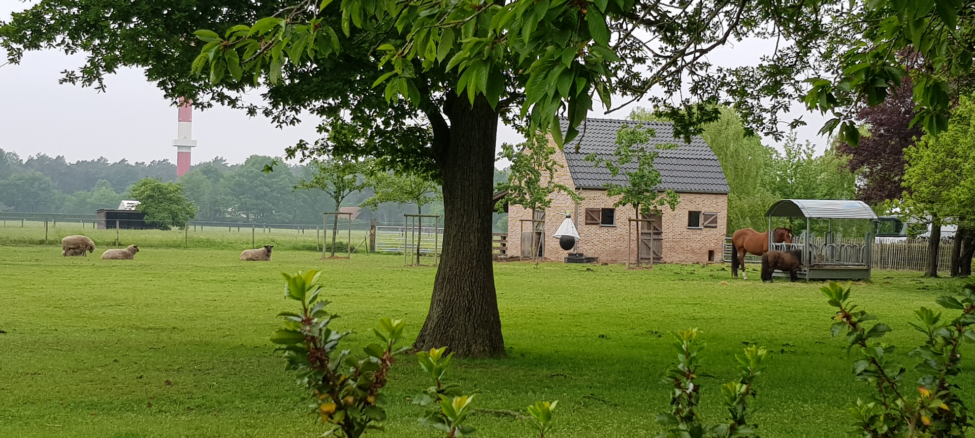 Landelijke wandel/fietsroute: Het land van bier, melk en honing - Het land van bier, melk en honing wandelroute
