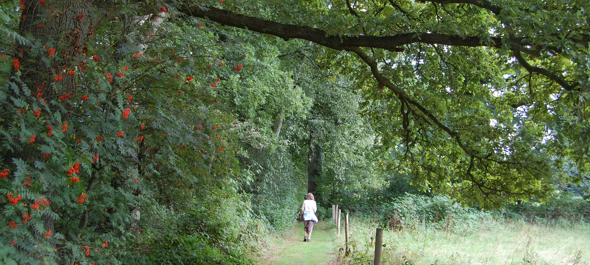 Landelijke wandel/fietsroute: Het land van bier, melk en honing - 1