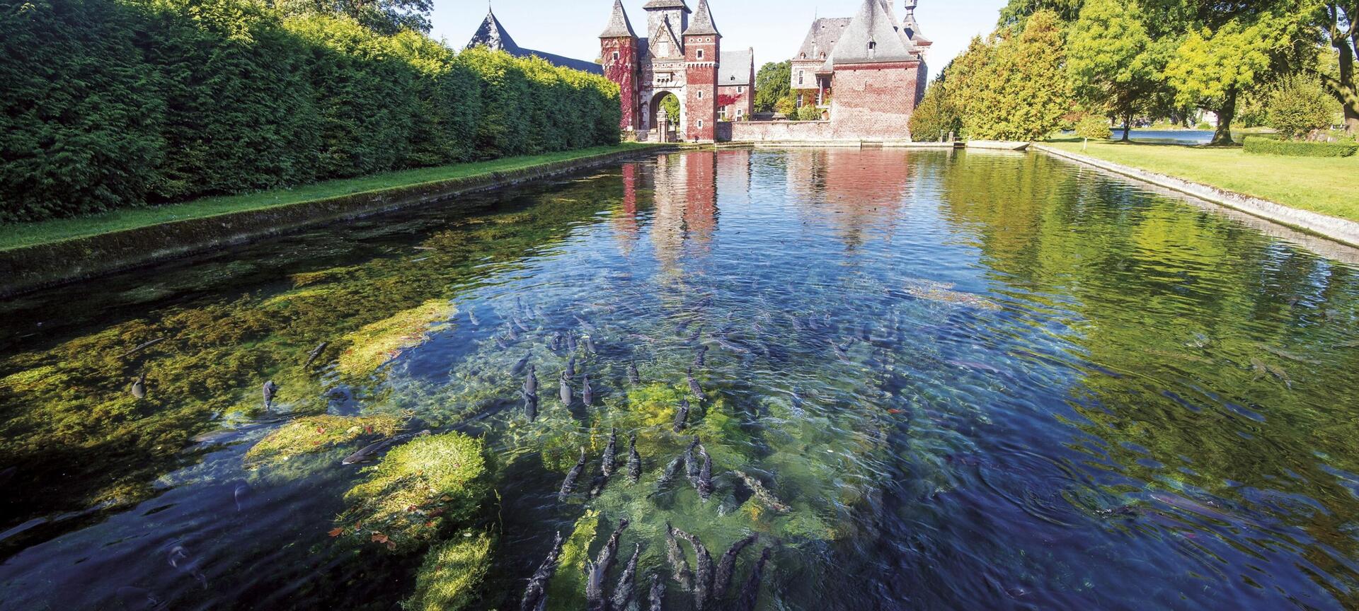 Landschapspark Grenzeloos Bocageland - Commanderie 7