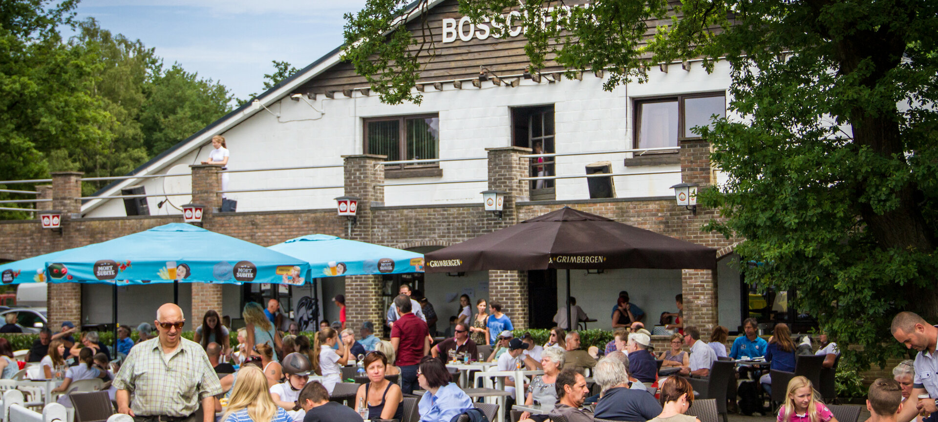 Manege Het Bosscherhof - terras