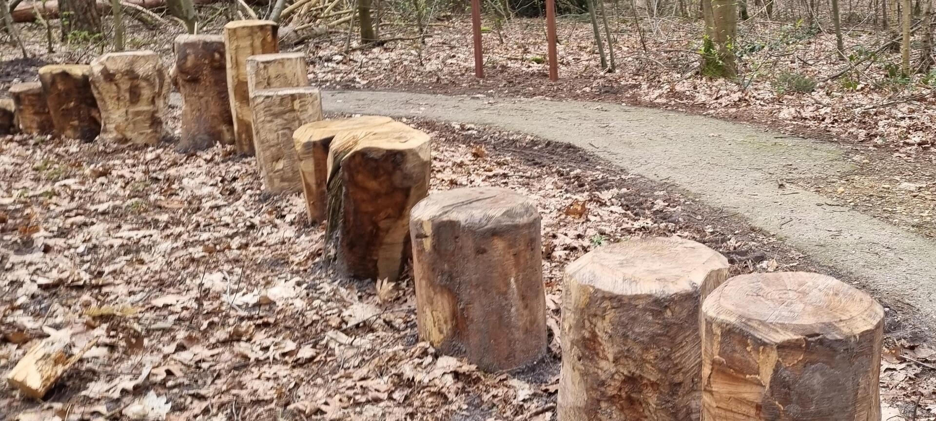 Ratzooiwandeling Bocholt - Met leuke opdrachten onderweg.