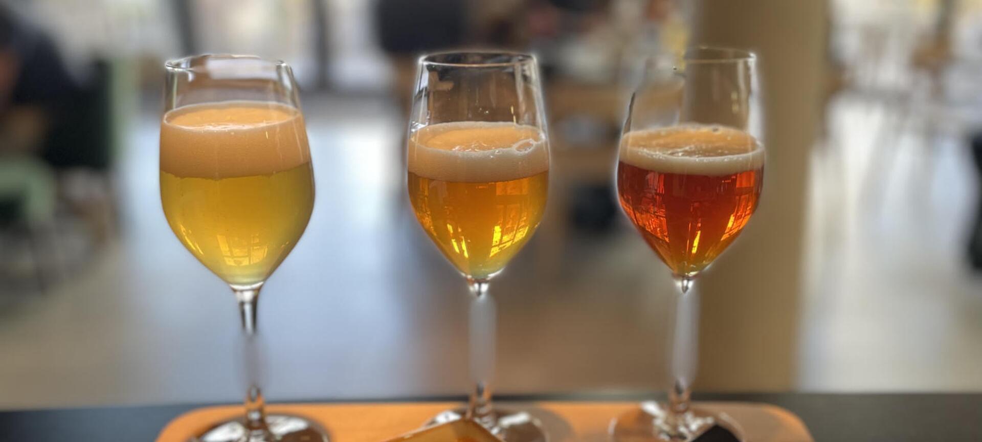 Stadsbrouwerij BRAUW - Paired Flight