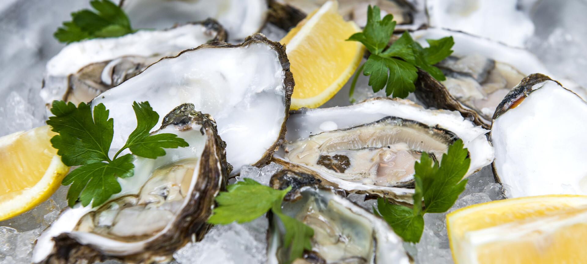 The Century - Verse Oesters & Kreeften uit 9m lange homarium