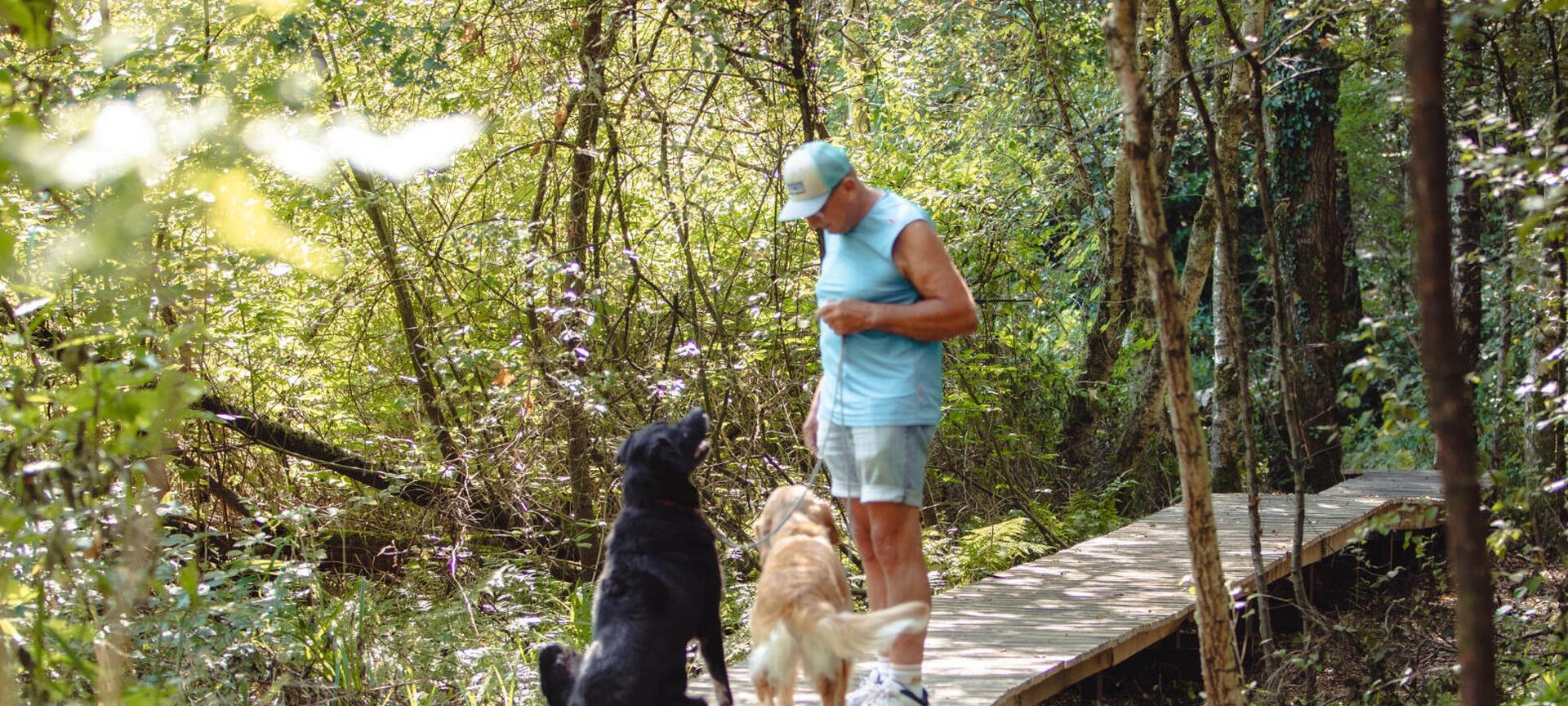 Top Trail Lieteberg (rood) - 10 km - e