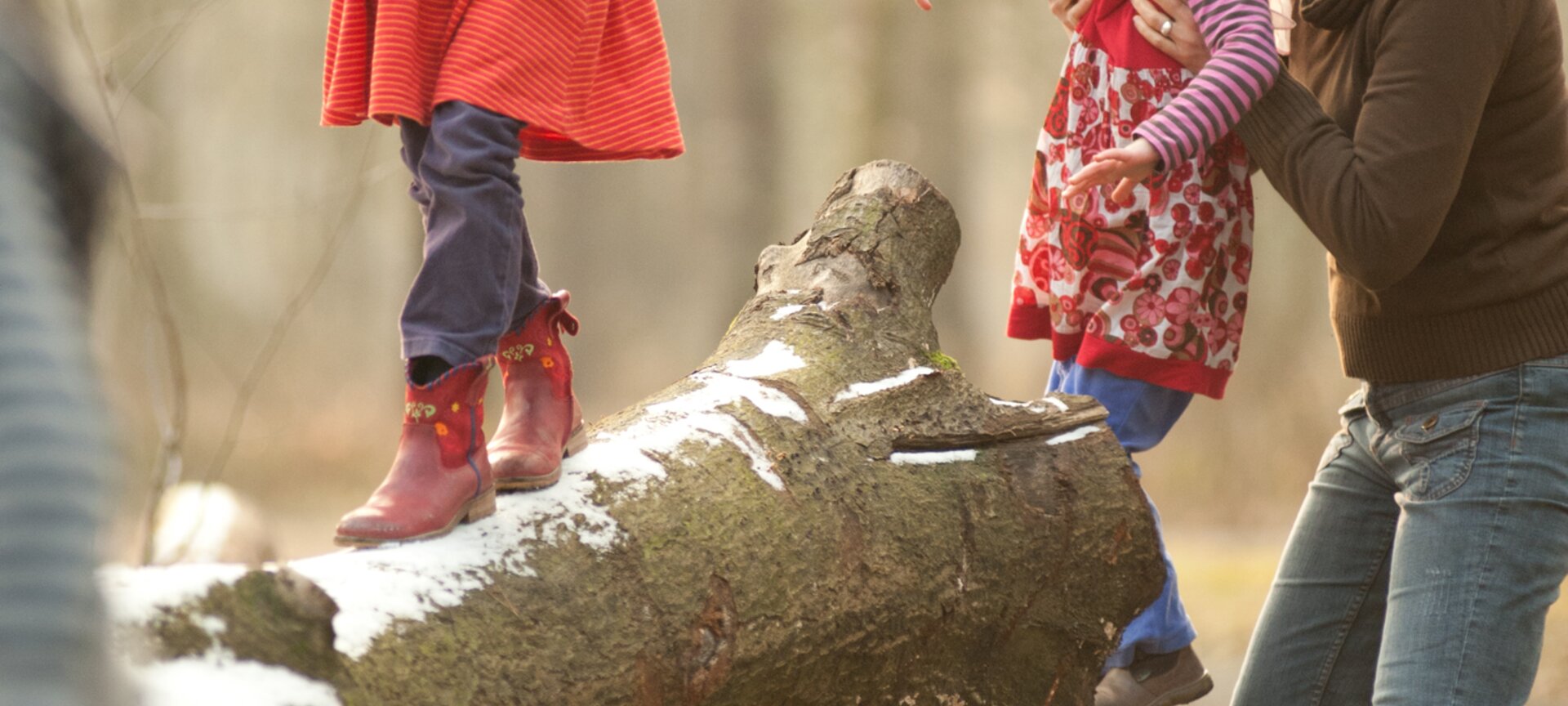 Vallei van de Zwarte Beek: Wandelgebied Koersels Kapelleke - Boeboekspad