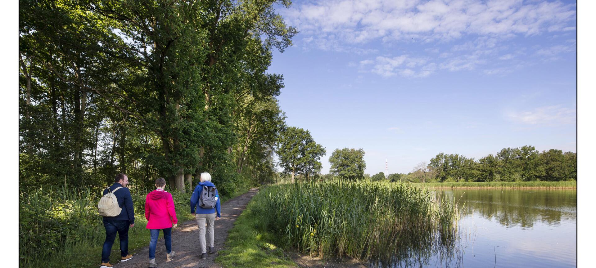 Wandelnetwerk De Wijers - Wandelnetwerk De Wijers