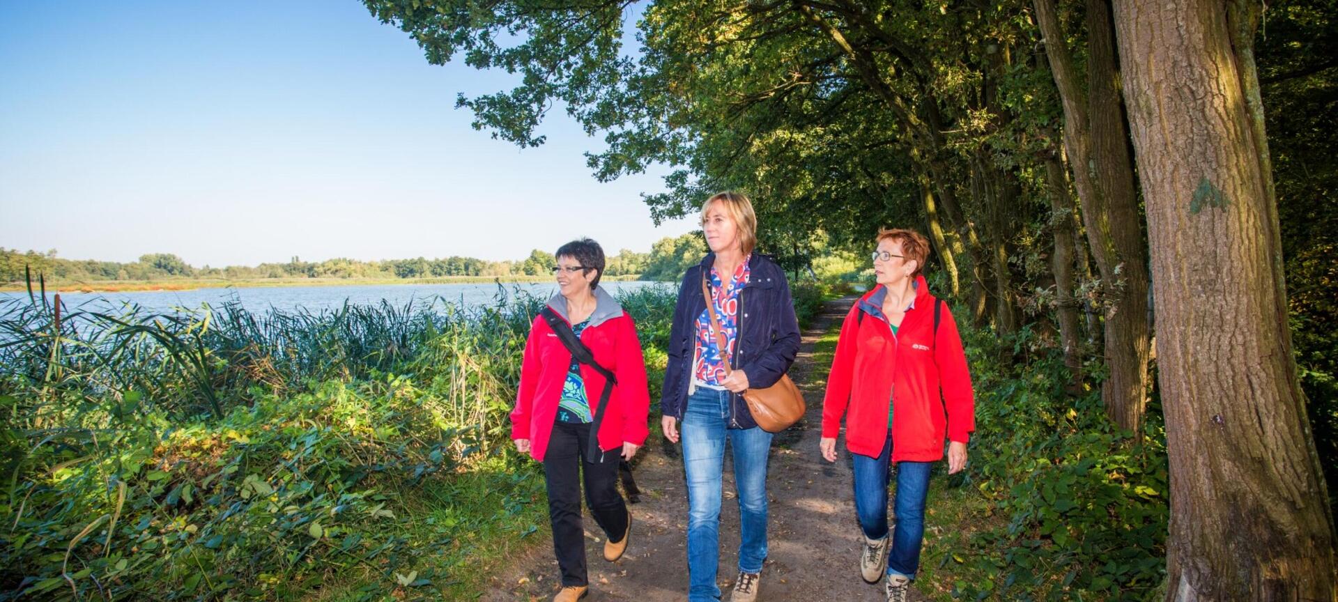 Wandelnetwerk De Wijers - Wandelnetwerk De Wijers