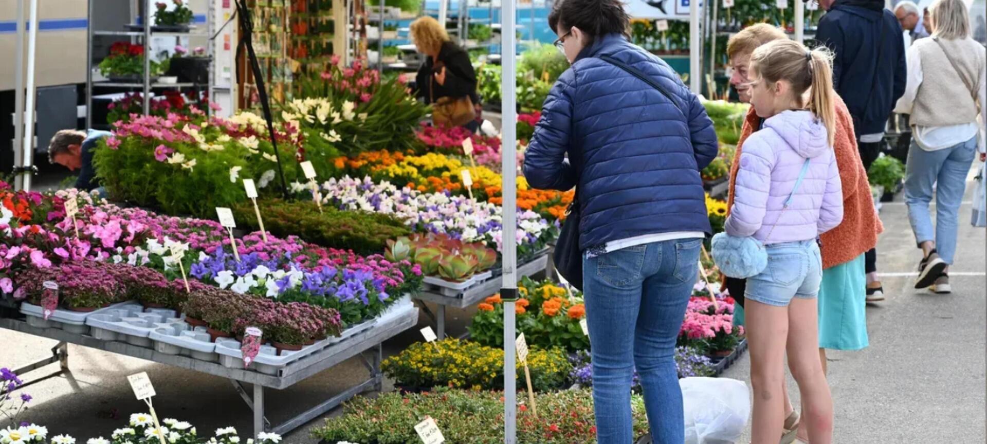 Wekelijkse vrijdagsmarkt Bree centrum - Vrijdagsmarkt Bloemen