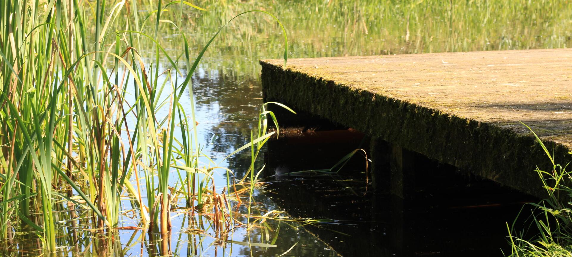 Welkom in de vallei van de Mombeek - f