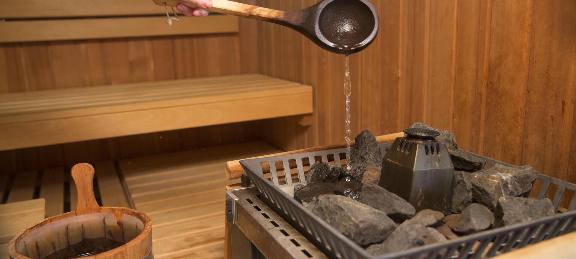 Wellness hotel de Maretak - sauna