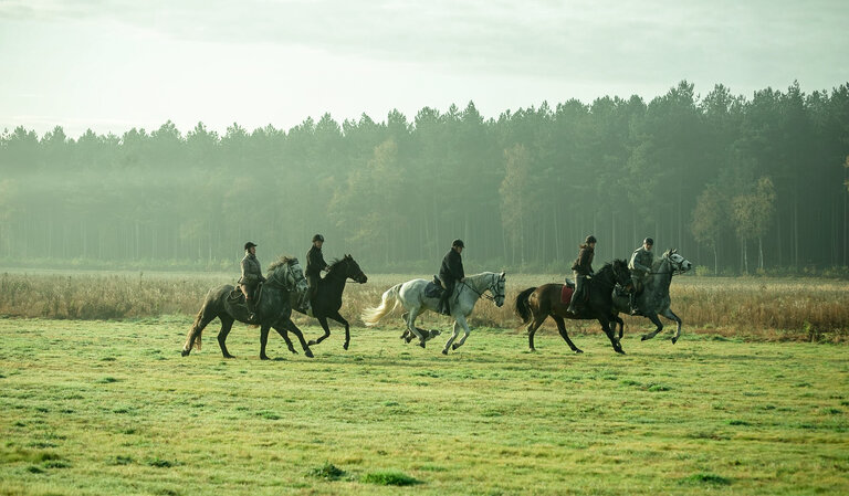 L'équitation au Limbourg - © Koen De Langhe