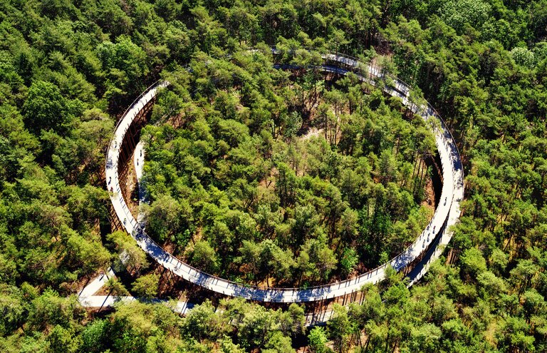 'Fietsen door de Bomen' in Nationaal Park Bosland