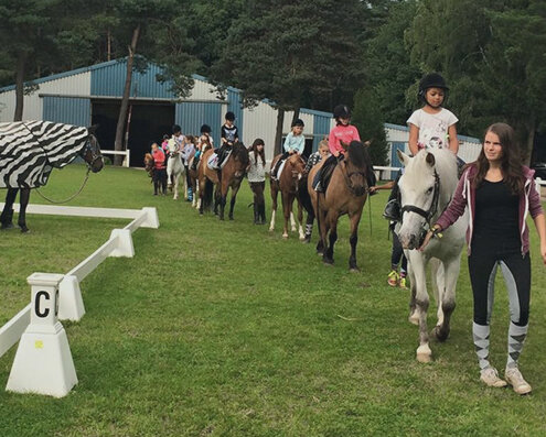 Groep kinderen gaat met pony's op wandel vanuit manege Bosscherhof in Zutendaal